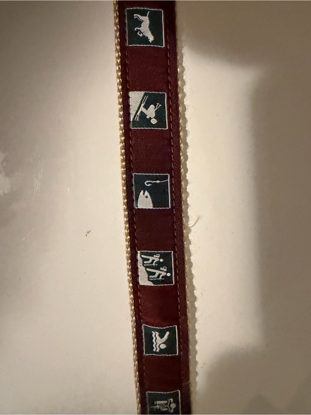 Dog collar made in Maine